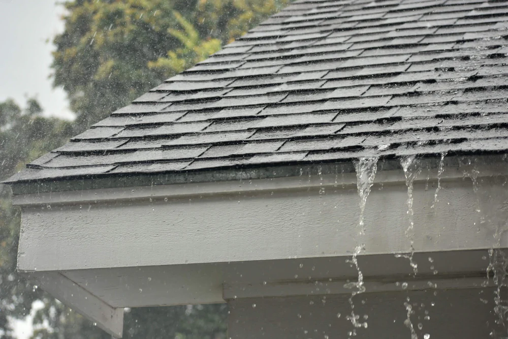 Roof Leak