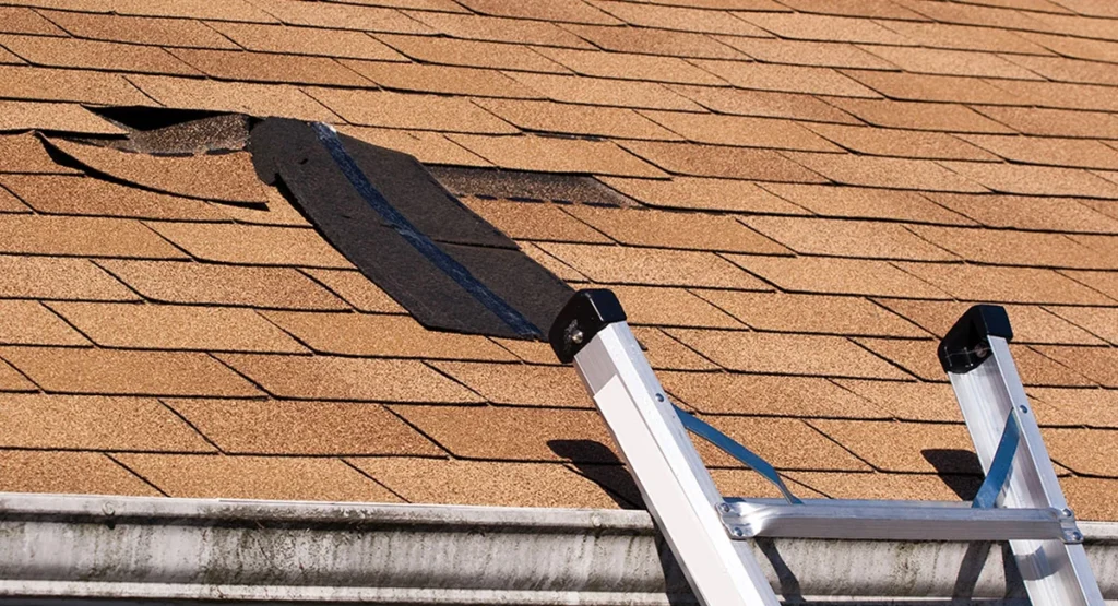 a Roofing Professional