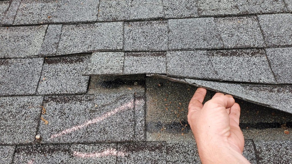 wind damage to asphalt shingles