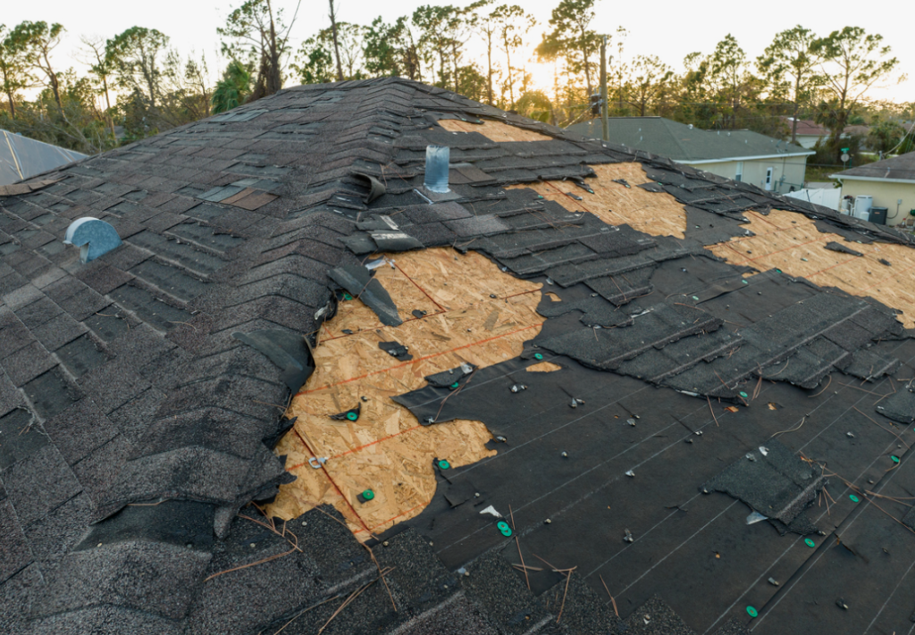 storm-damage image